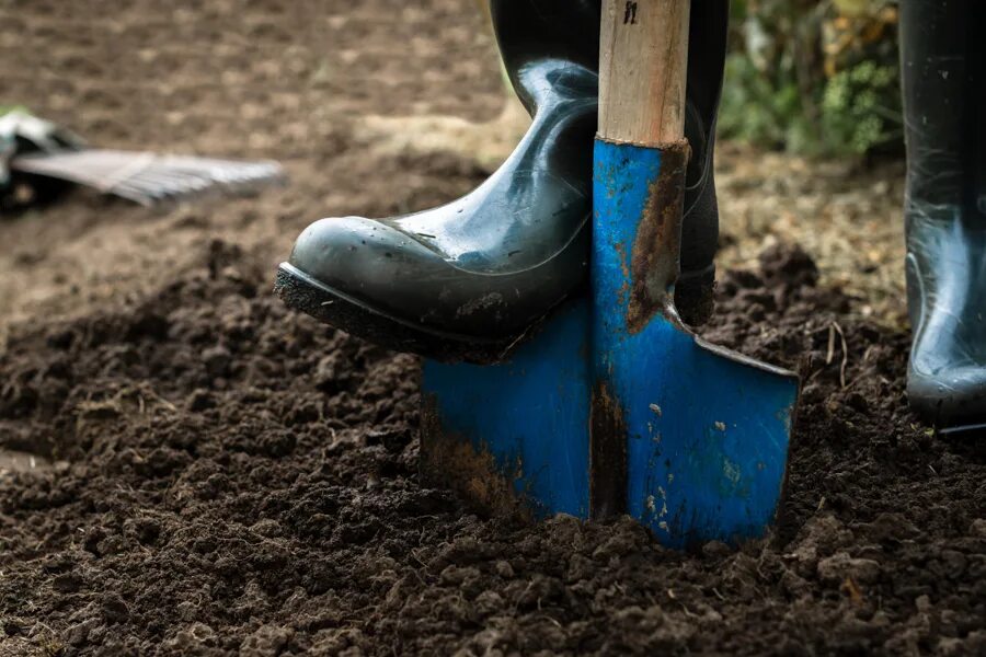 Digging 4. Весенняя перекопка почвы. Лопата для огорода. Перекопка огорода. Лопата в земле.
