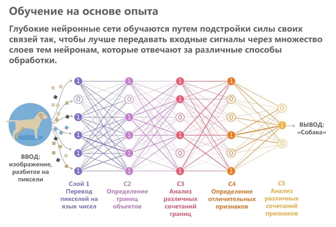 Алгоритмы нейронных сетей. Искусственный интеллект схема нейросети. Принцип работы нейронной сети схема. Искусственная нейронная сеть схема. Нейронные сети сетка.