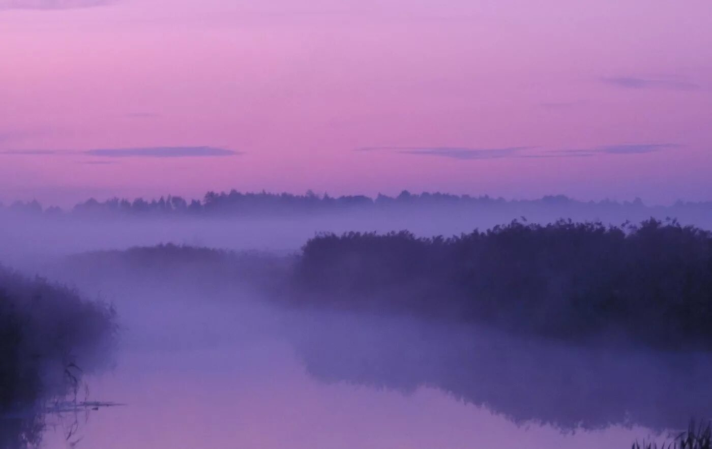 Фиолетовый туман. Сиреневый туман. Розовый туман. Туманное озеро.