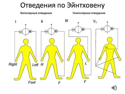 Система сбора и отведения