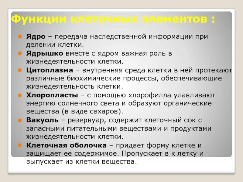 Функции клетки. Основные функции клетки. Основные функции клетки человека. Функции клеточных компонентов.