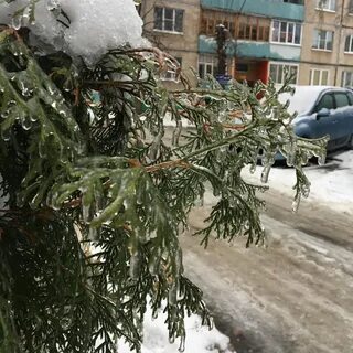 Осадки сегодня чебоксары