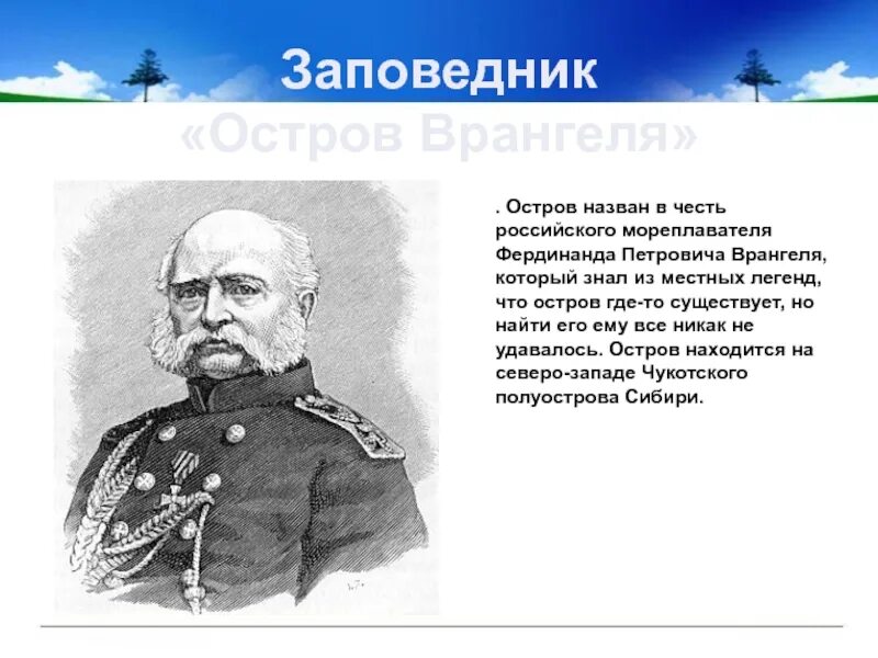 Врангель в честь которого назван остров Врангеля. Остров Врангеля открыватели. Врангель создатель заповедника.