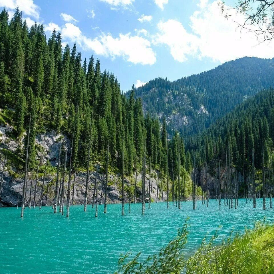 Природные страны казахстана. Озеро Каинды в Казахстане. Озёра Казахстана озеро Каинды. Каинды Киргизия поселок. Озеро Кольсай Алматы.