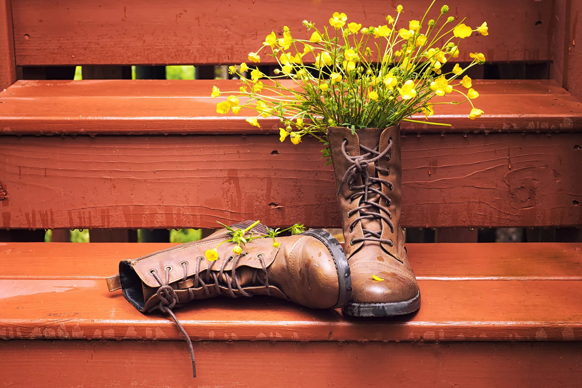 Устранить запах в обуви в домашних. Обувь из растений. Вонючая обувь. Обувь из растений арт. Вонючие ботинки.