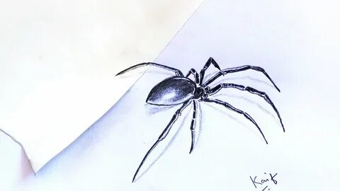 Паук рисовка