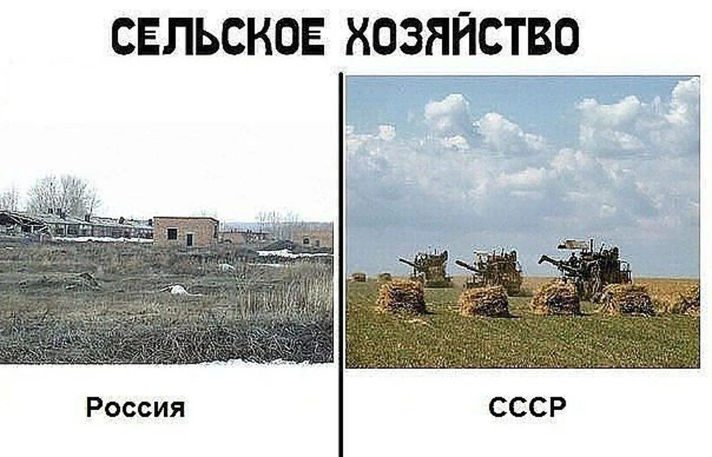 Сельское хозяйство в россии апк 2022. Таблица нового времени. Таблица по истории сельское хозяйство было стало. Изменения в жизни общества в новое время. История развития сельского хозяйства.