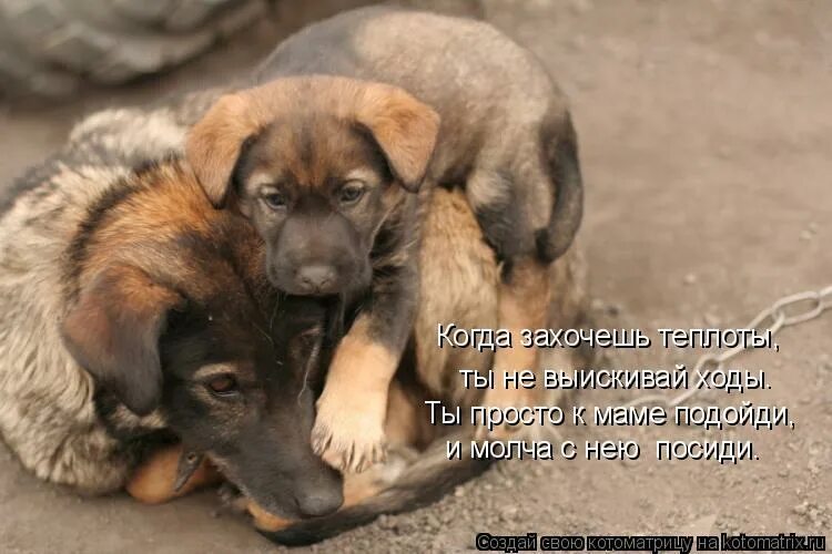 Дочка шепчет маме на ухо. Норм анекдоты. Мам подойди. Чем пахнет мама. Мам подойди.