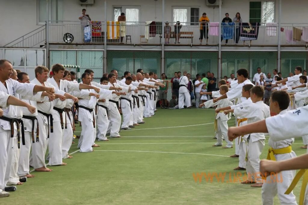 сборы карате