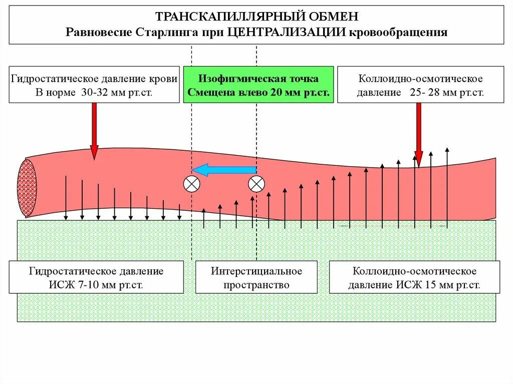 Давление в разных сосудах