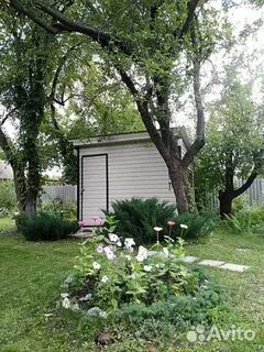 Снт культура
