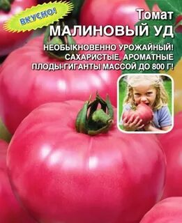 Томат малиновый отзывы