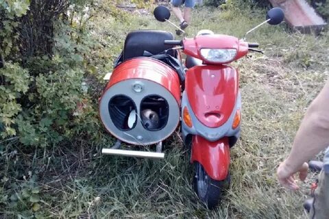 Мопед пенза