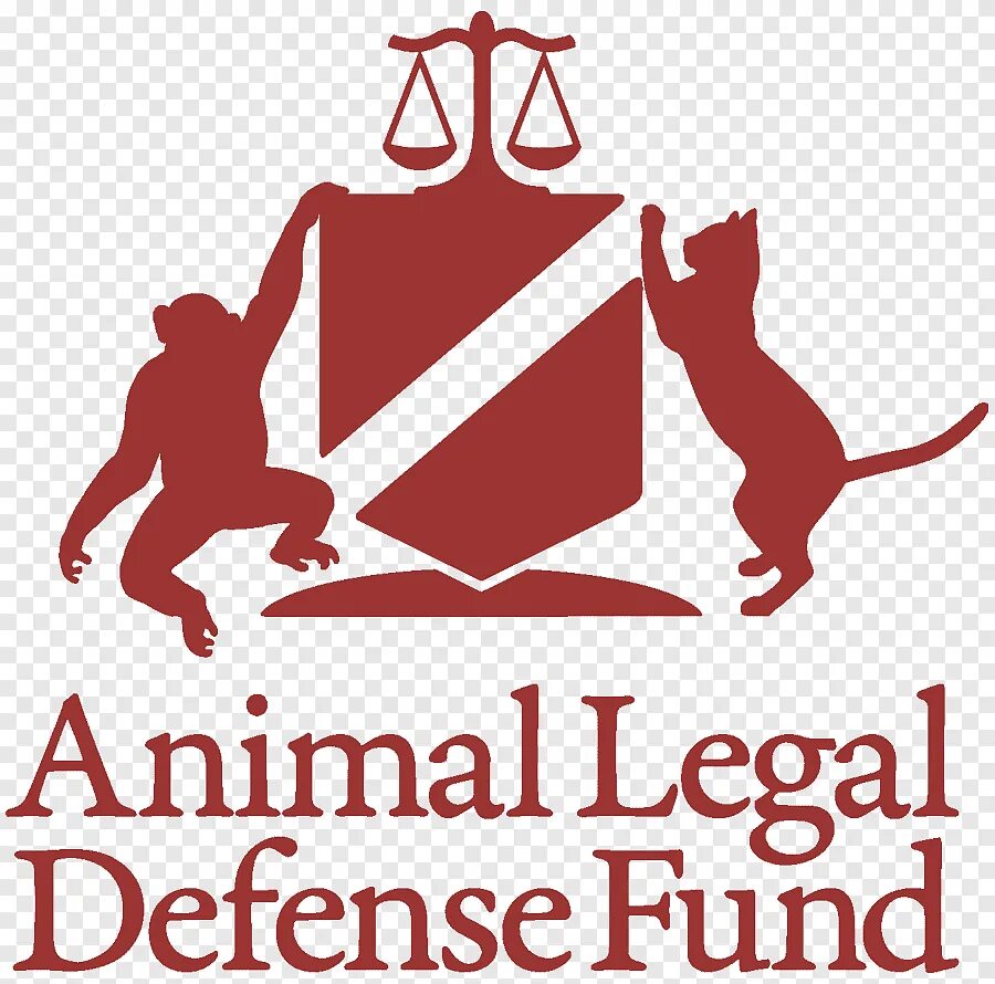 Animal funds. Юридическая защита животные. Животное юрист лого. Логотип Йельского правового университета. Правовые фонды.