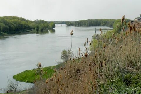 Волга ахтубинск