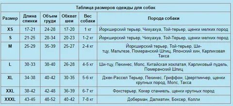 Как узнать размер собаки для одежды