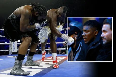 Could fight