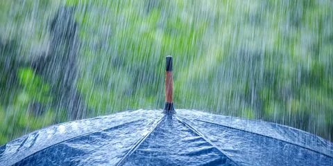La pluie