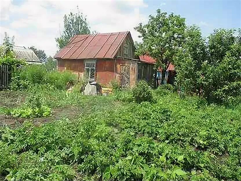 Садоводства медик. Садоводства медик. Садоводство берёзка бийск. Садоводства медик. Садоводство швейник-1 бийск сады.