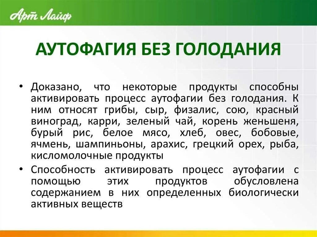 Аутофагия. Процесс аутофагии. Голодание аутофагия. Аутофагия при голодании. Поставь голод