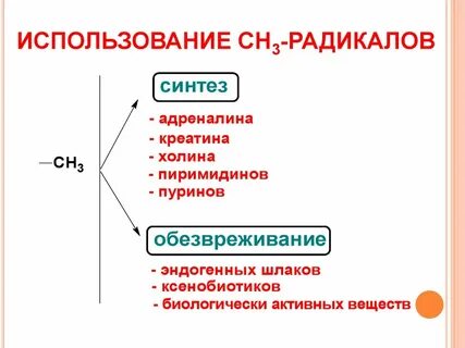 Радикалы это в истории