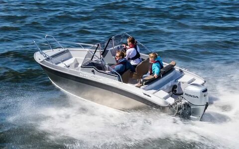 Silver wolf 18