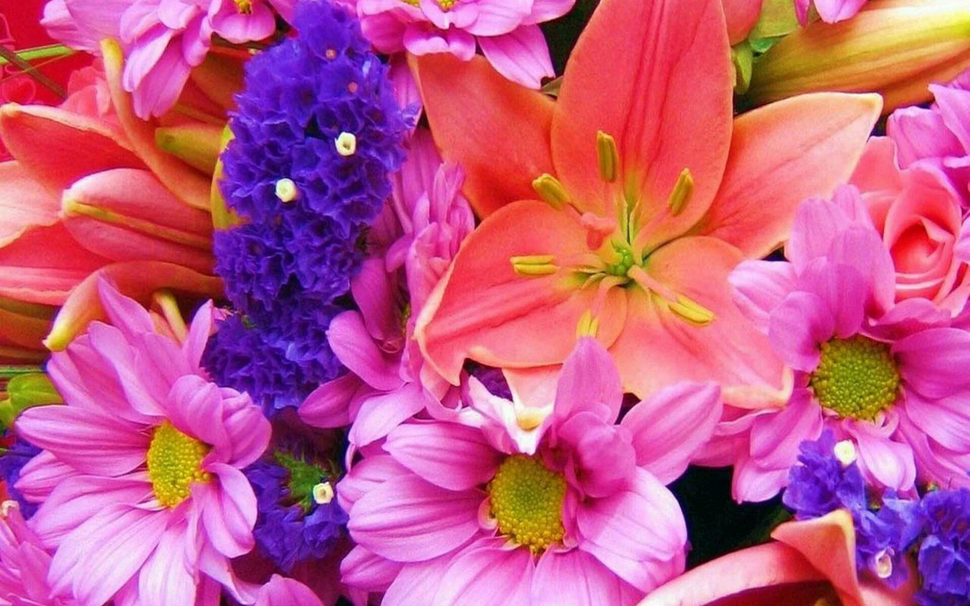 Яркие цветы. Красивый букет цветов. Шикарные цветы. Красивые яркие цветы. Цветы картинки праздник красивые
