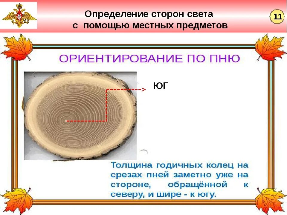 Срез кратко. Как определить стороны света. Как определить стороны све. Определение сторон света. Как узнать стороны света без компаса.