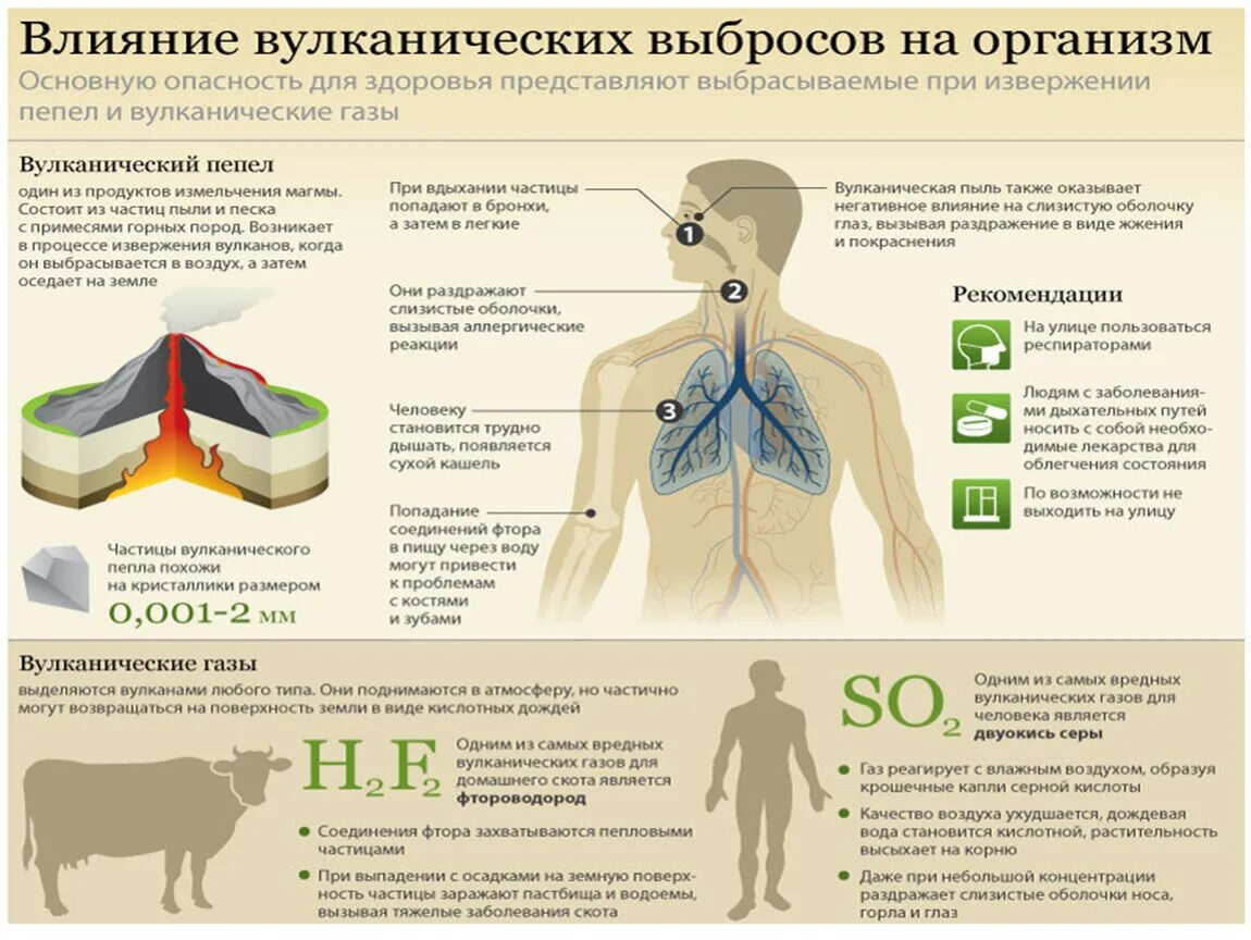 Влияние вулканических выбросов на организм. Воздействие вулкана на организм человека. Последствия вулканических извержений. Действия при извержении.