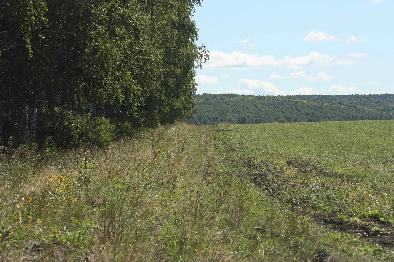 Мордовия село березники. Село тазино большеберезниковский район мордовия. гард родник большеберезниковский район. заброшенные деревни мордовии большеберезниковский. реки большеберезниковского района.