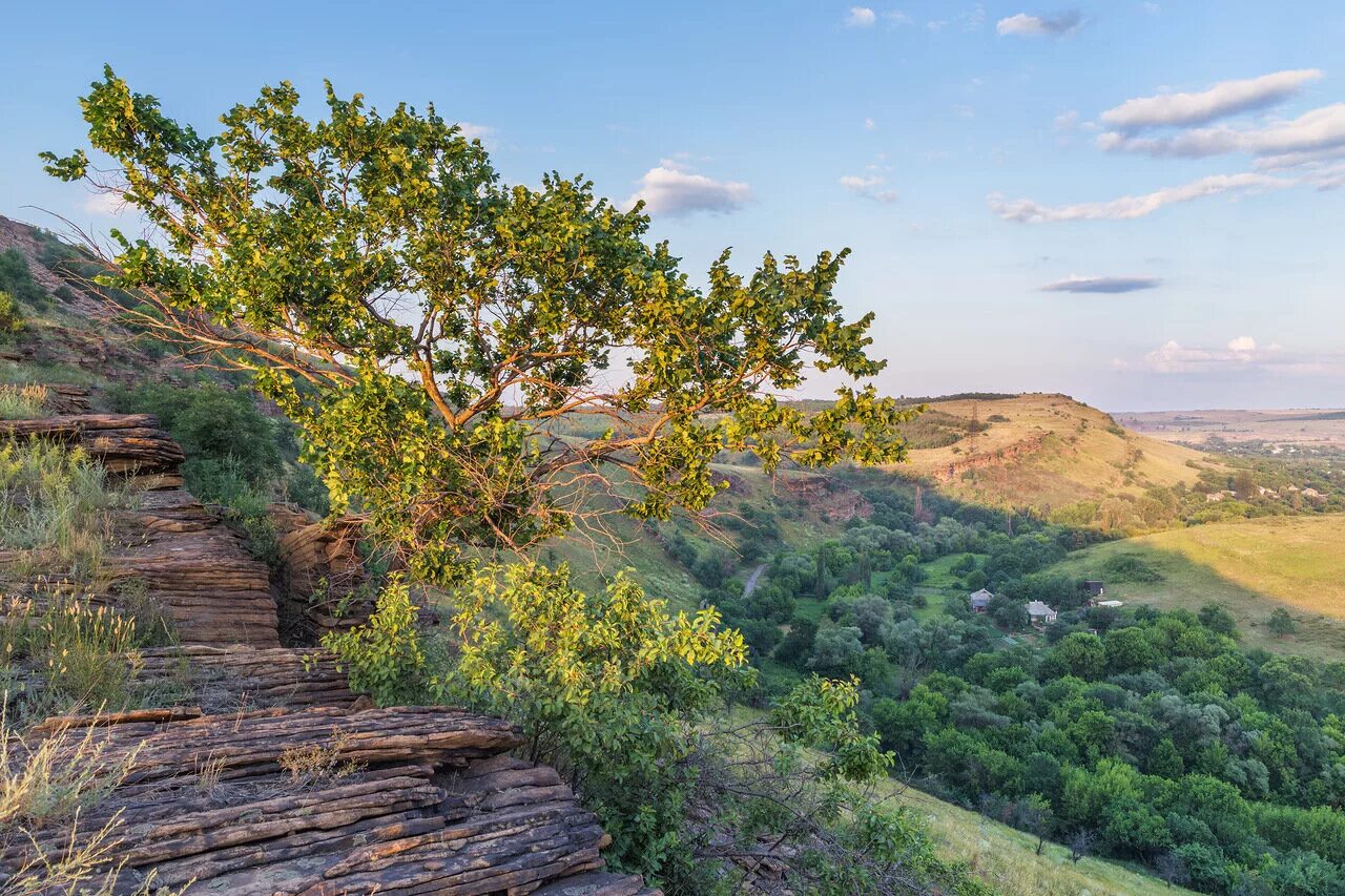 луганский ростовская область.