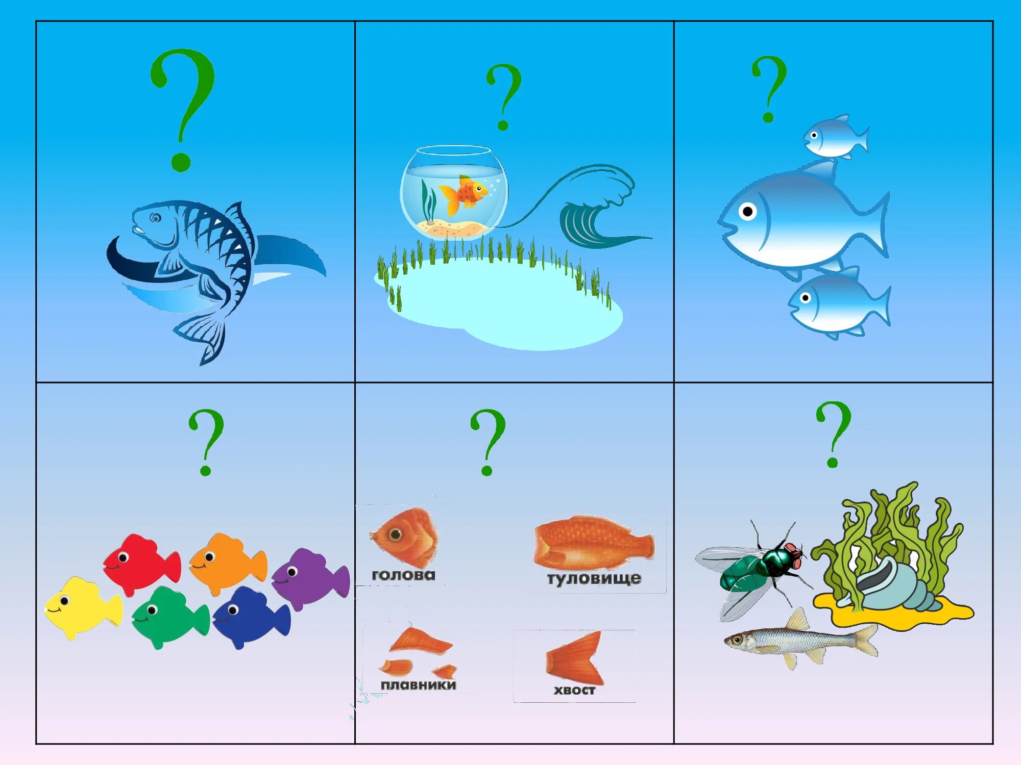 Мнемотаблица рыбы. Мнемотаблица обитатели морей и океанов. Мнемотаблица морские обитатели для дошкольников. Тема рыбы для дошкольников.