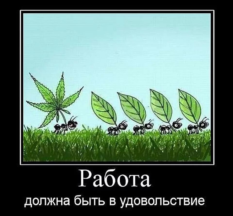 Живет в удовольствие и вся. Работа должна приносить радость. Работа должна быть в удовольствие. Демотиваторы про работу. Прикольные картинки.