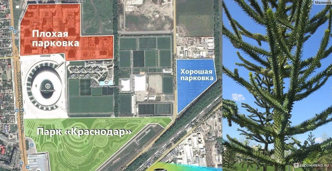 План парка Галицкого в Краснодаре. Карта парка Галицкого в Краснодаре. Парк Галицкого в Краснодаре карта парка. Схема парка Галицкого в Краснодаре.