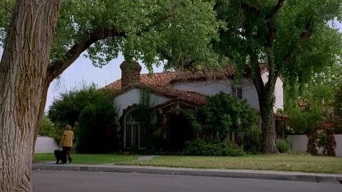 House breaking