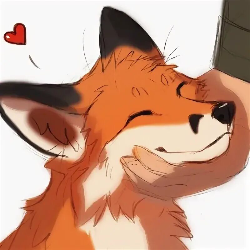 Rich fox. Rich fox. Rich fox. Richard foxe. Rich fox.