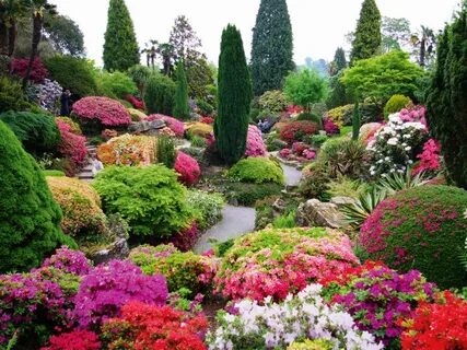 Flower garden 1