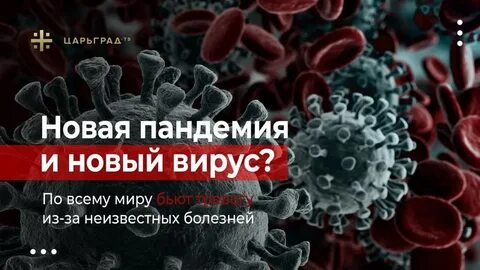 Вирус x последние новости