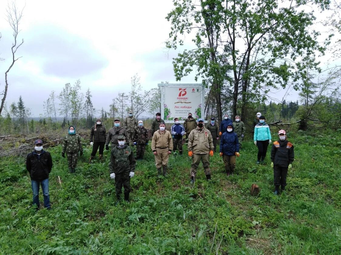 Новости криминал пермский край. Волонтеры Губахи. Сад памяти Пермский край. Вести Пермь лесу. Новости в Пермском крае за последнюю неделю.