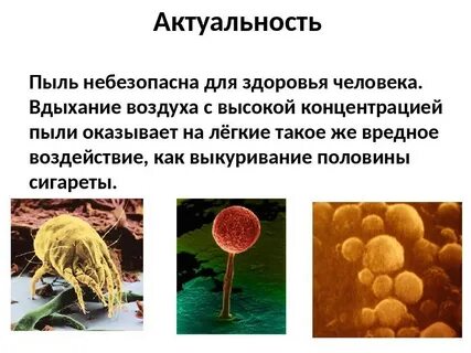 Пыль на здоровье человека