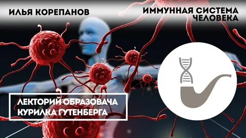 Иммунная 21