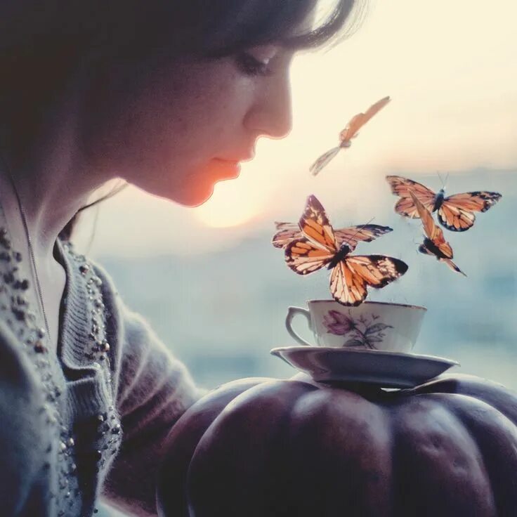 Афоризмы про волшебство и чудеса. Жизнь сплошные чудеса. Чудеса в жизни случаются. Цитаты про чудеса в жизни. Бабочки в горах.