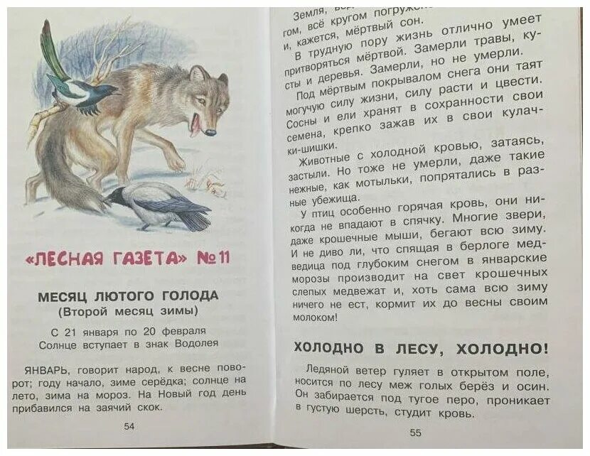 лесная газета виталия валентиновича бианки. бианки рассказ о природе лесная газета. произведение бианки лесная газета. лесная газета 3 бианки читать. лесная газета 3 бианки читать.