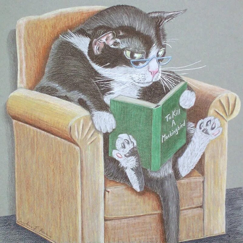Cartoon cat reader