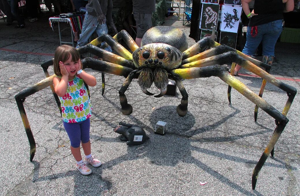 Бывают страшные и большие. Giant Huntsman Spider. Самый большой паук. Самый гигантский паук в мире. Огромный Тарантул.