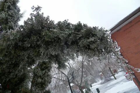 Ростовский цум после ледяного дождя