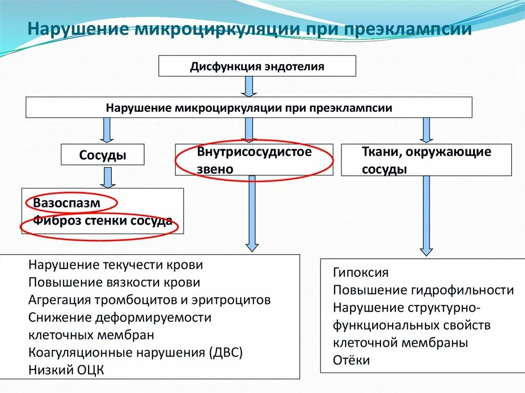 Нарушение кровообращения классификация. Причины нарушения микроциркуляции. Преэклампсия патогенез. Тяжелая преэклампсия патогенез. Нарушение микроциркуляции при приэплпсии.