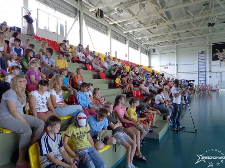 фок звездный арзамас. расписание гау. фок звездный арзамас бассейн. фок чемпион выездное расписание ледовой арены. фок звездный арзамас ледовая арена.