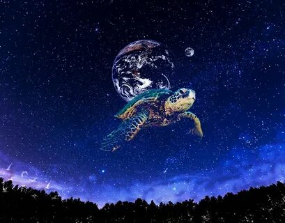 Полет черепах