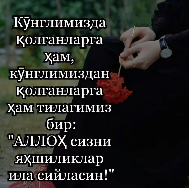 Умр утмокда